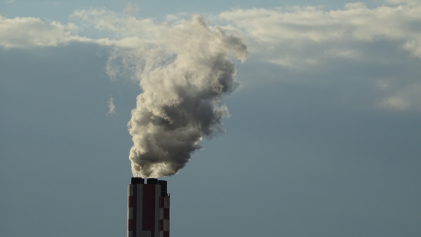 Sistema di scambio di quote di emissione di gas a effetto serra: obiettivi ambientali e funzionamento del mercato